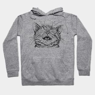 Cat #3 Hoodie